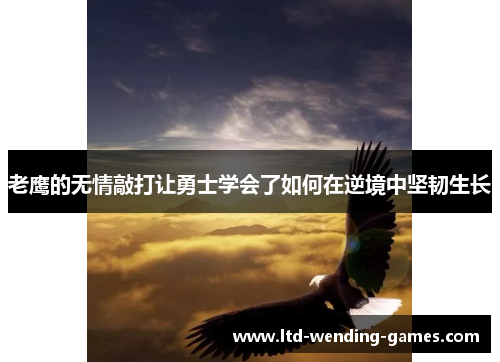 老鹰的无情敲打让勇士学会了如何在逆境中坚韧生长 老鹰的无情敲打让勇士学会了如何在逆境中坚韧生长